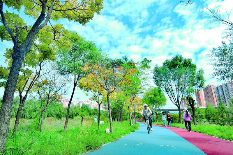 西寧湟水國家濕地公園已是秋景如畫